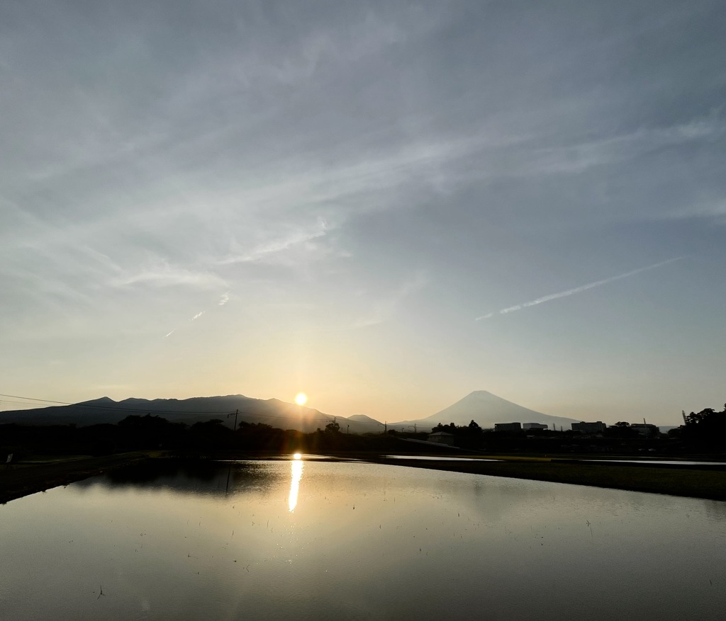 田に映る夕景　③