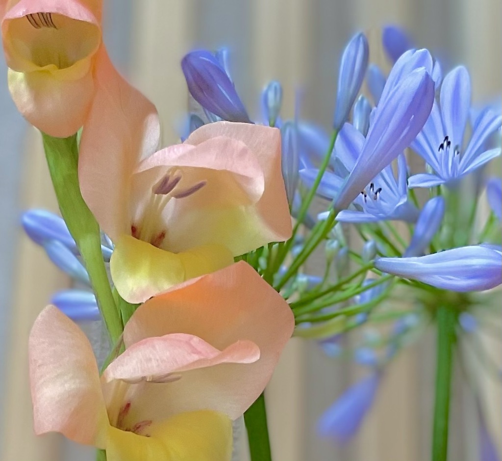華