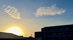 彩雲を撮りたくて　その3   かお⁉︎