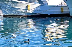 油絵のような海
