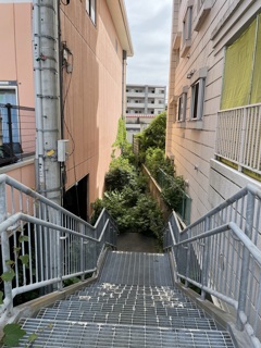 ビルの狭間の行き止まりの緑地