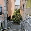 ビルの狭間の行き止まりの緑地