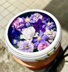 おもてなし