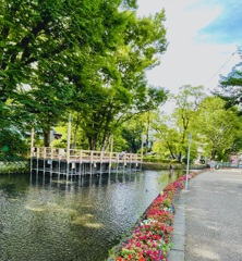 せせらぎ川床