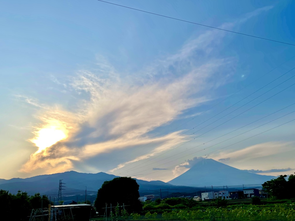 火の鳥　山を喰らう