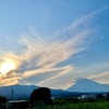 火の鳥　山を喰らう