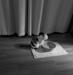 何か見える？　2