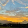 What a lovely day!…①