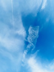 あら　ねこ雲♡    2/14