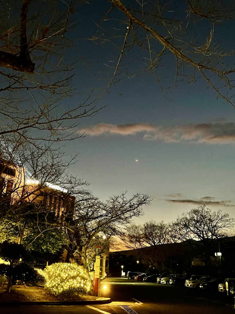 イルミと三日月