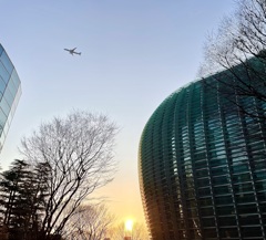 国立新美術館…夕景その1