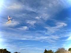 イイ波来てる？