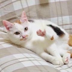どの足出てる？…その2