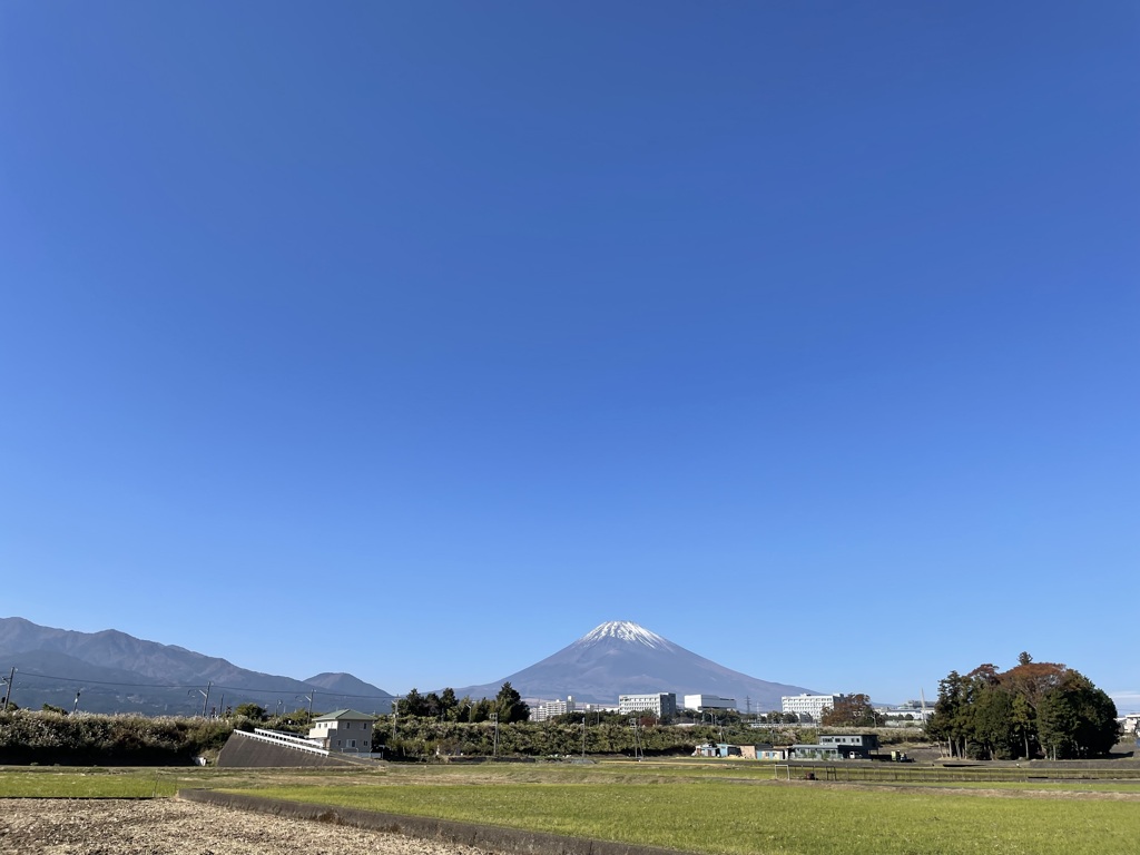 真っ青なキャンバスに何を描く？