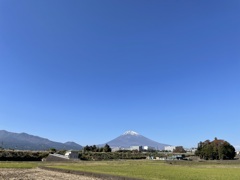 真っ青なキャンバスに何を描く？