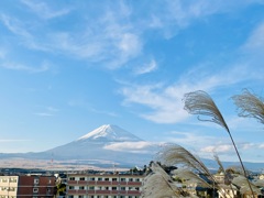 街から世界遺産を望む