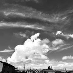 夏雲　>   秋雲