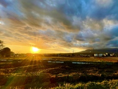 昨日の夕景…その1  眩しっ！