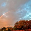 11/25 日の入り後…虹