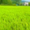 風を感じて