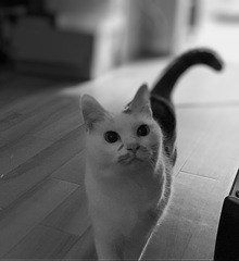 起きて　1
