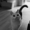 起きて　1