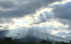 一万の目を持つ君はこの光が見えてるかい？