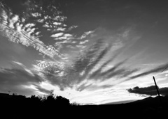 睨み合うオオカミとワニ　11/2