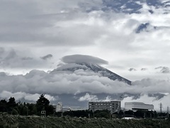 曇っても富士っ