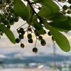 雷雨去り…2
