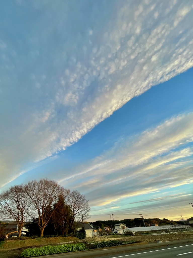 夕焼けshow time飛び出す