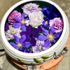 おもてなし②  バードバスに浮かせ花