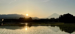 田に映る夕景　⑤