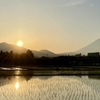田に映る夕景　⑤