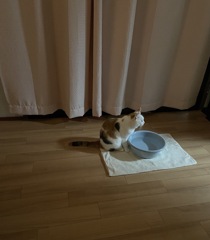 何か見える？　1
