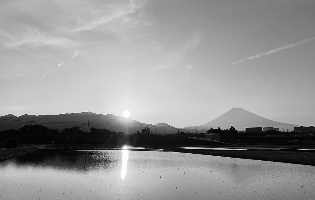 田に映る夕景　②