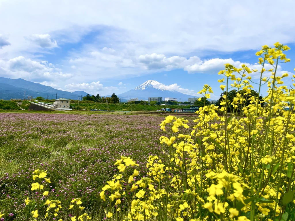 田植え前の3ショット