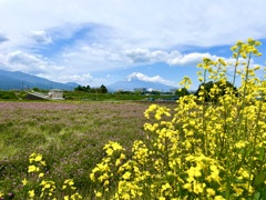 田植え前の3ショット