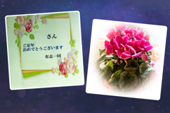 第二の人生の幕開け