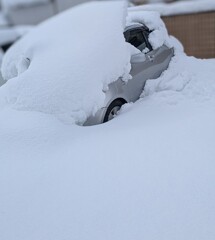 白い悪魔に飲み込まれた車