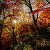 紅葉の中の日光