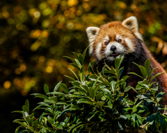 やっと目が合ったね(^^♪