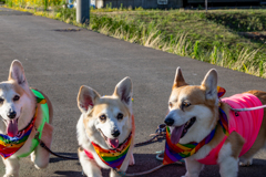 動いたらダメ！