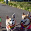 動いたらダメ！