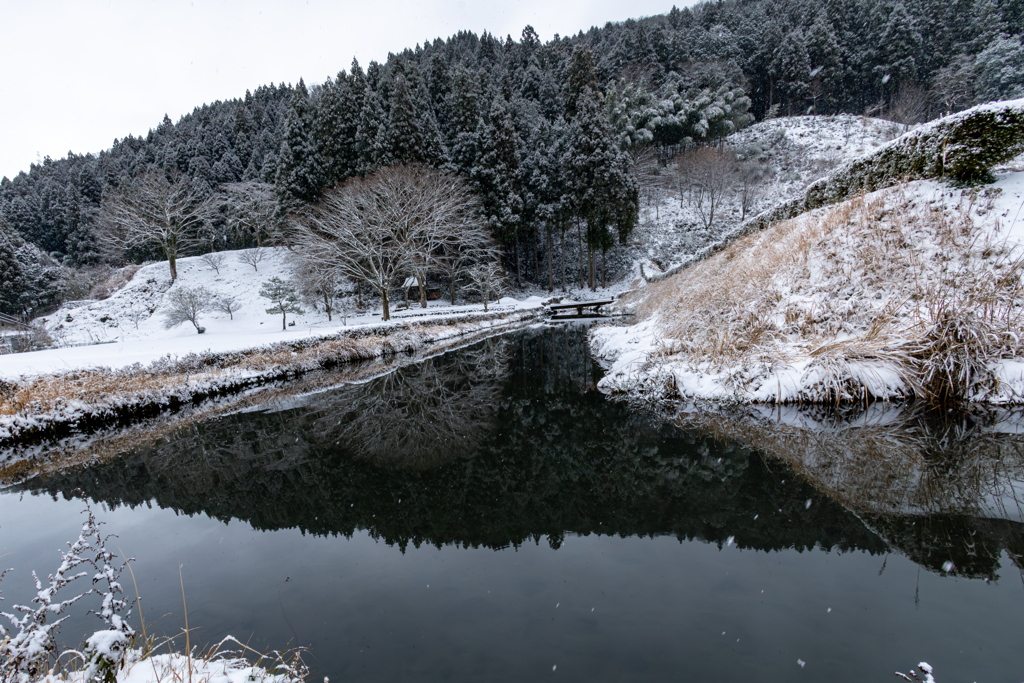 朝倉氏遺跡池のリフレクション