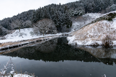 朝倉氏遺跡池のリフレクション