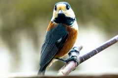 やっと目が合ったね！