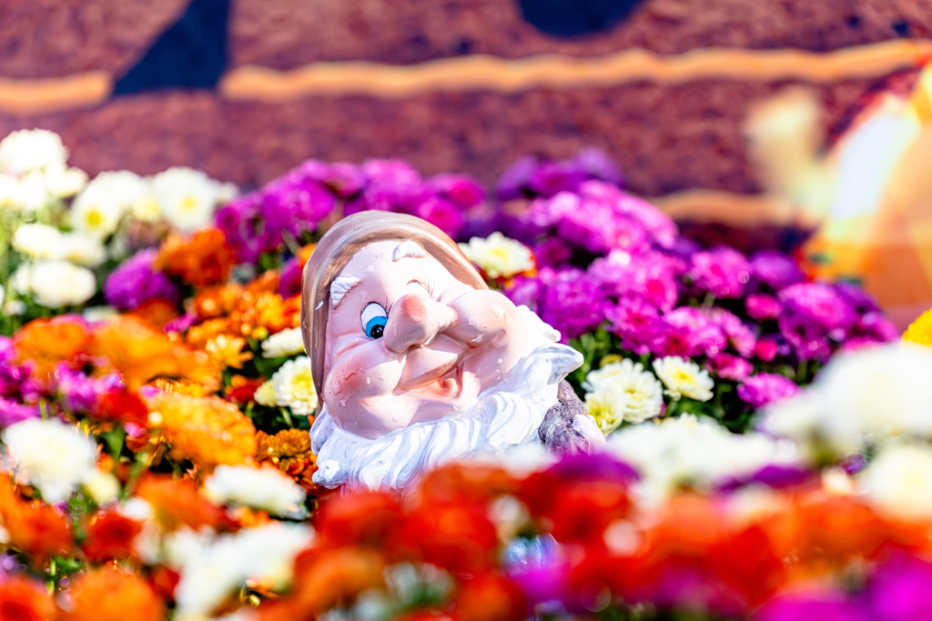 菊に埋もれたディズニー