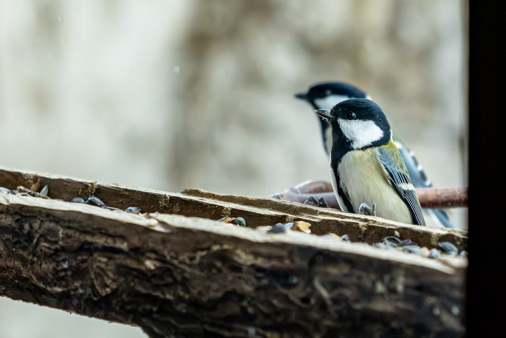 シンクロ率１００％パート２