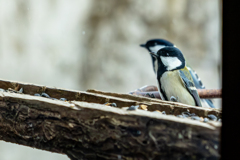 シンクロ率１００％パート２